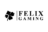 FelixGaming Spielen ohne Limit